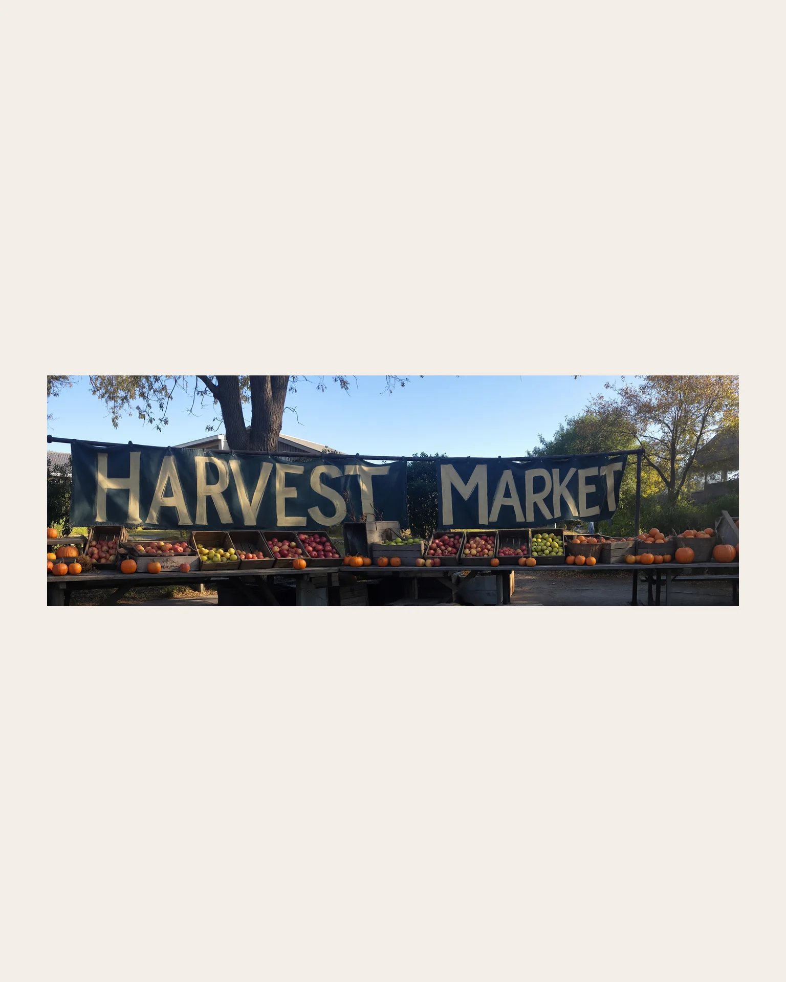 Banners at 3:1 and 1:3