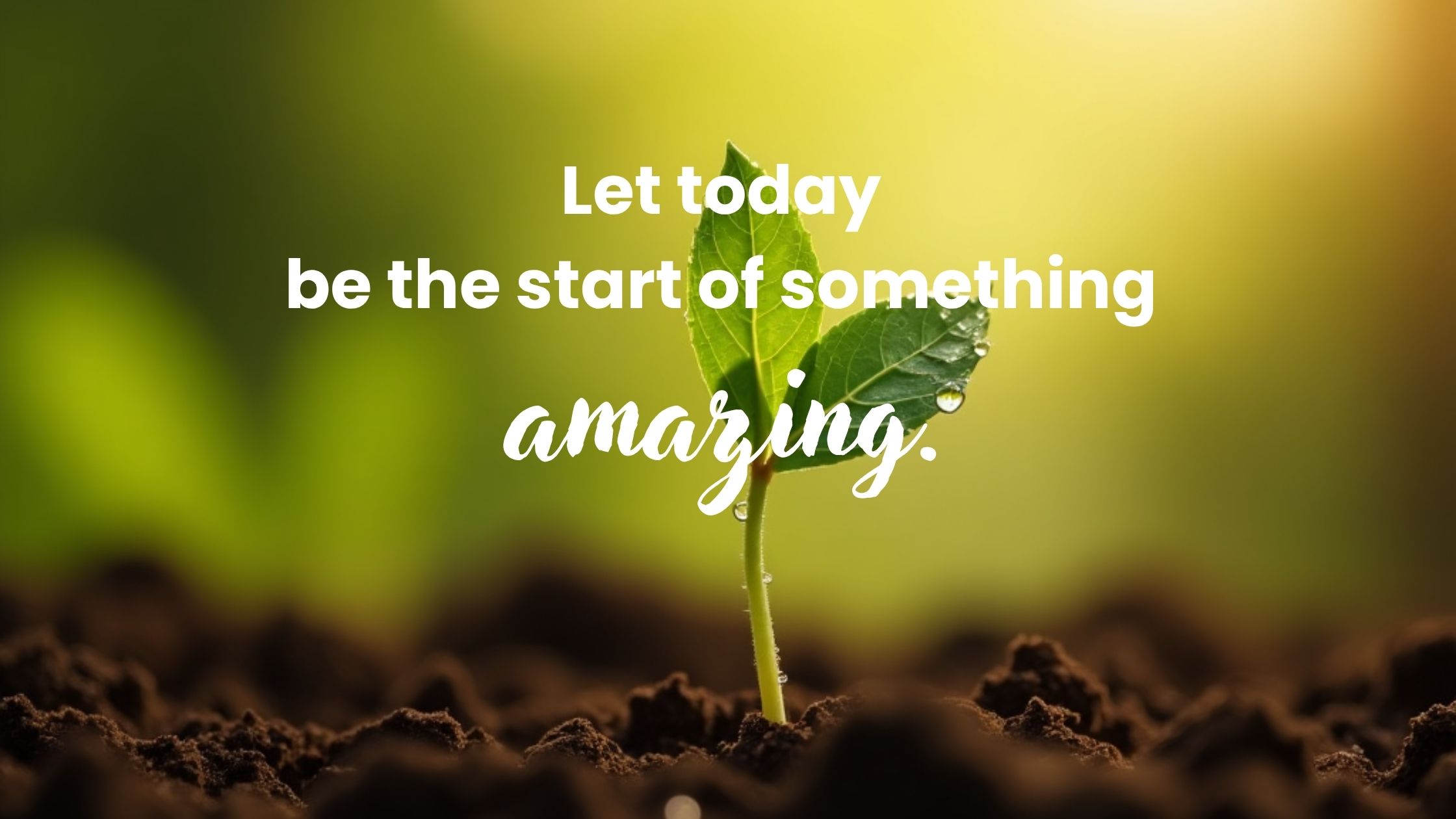 Monday Motivational Quotes