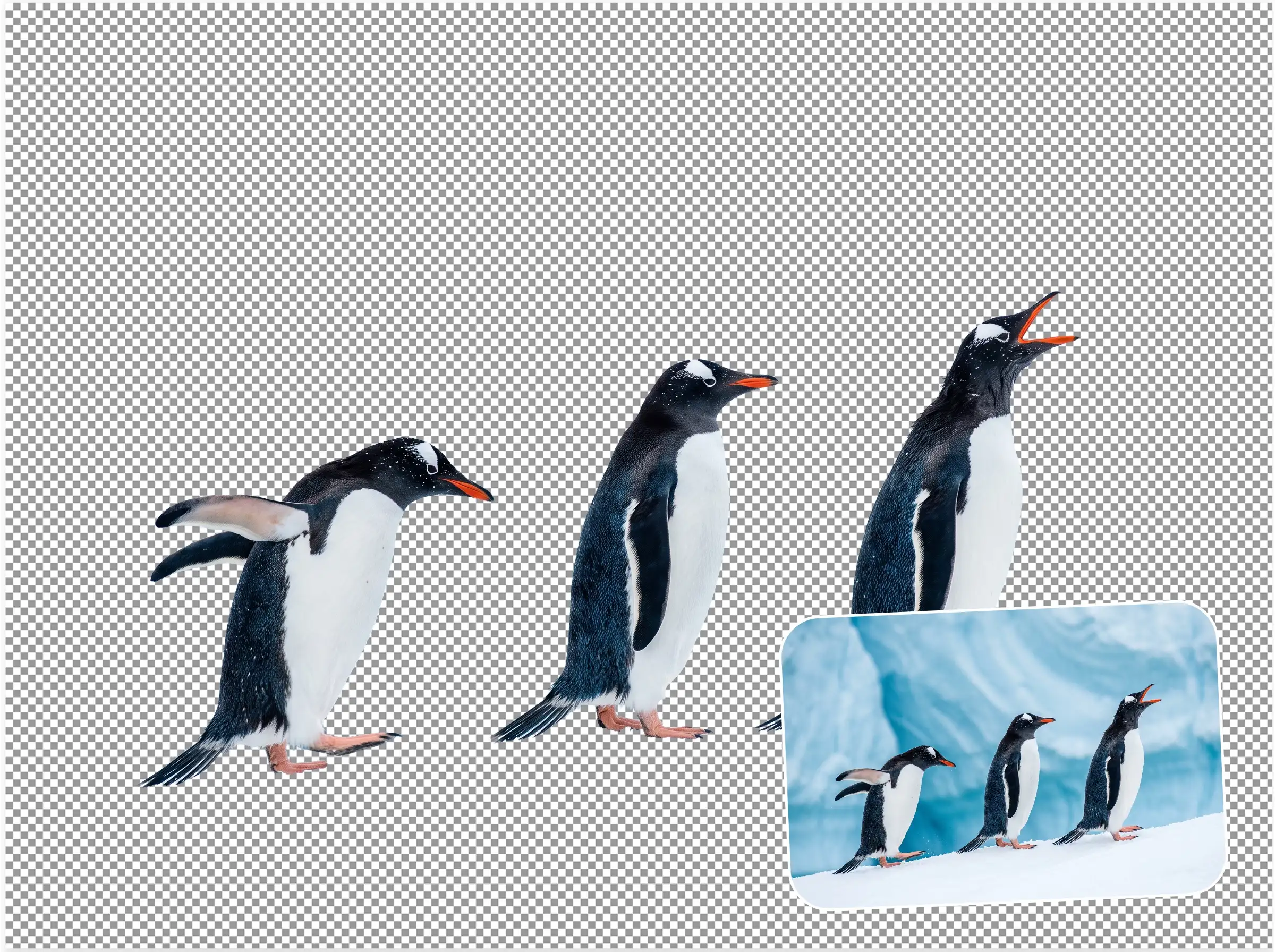 Remove Image Backgrounds Automatically Without Manual Editing