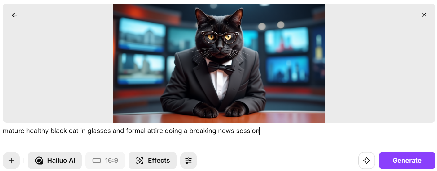 Funny cat videos with ImagineArt Video Studio