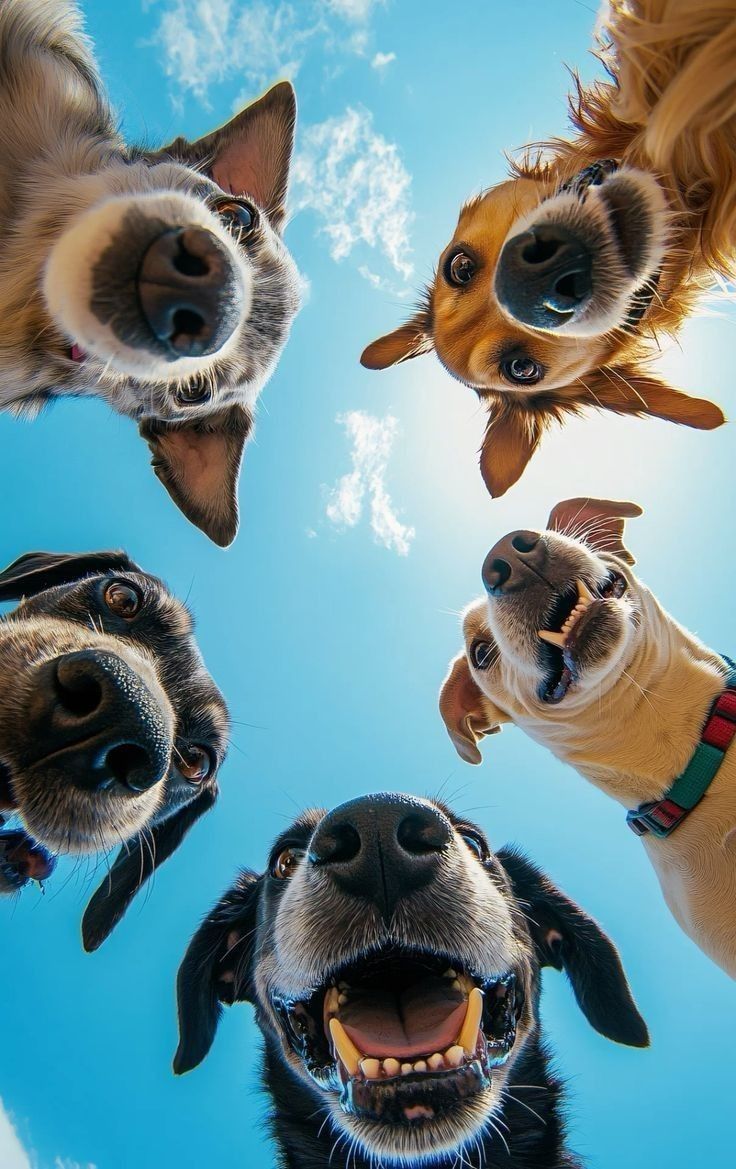 Image Editing with Multiple References