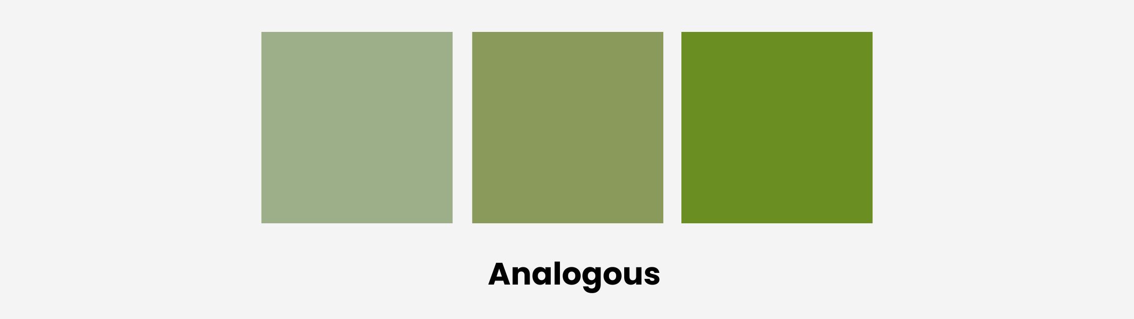 Sage Green Analogous Palette