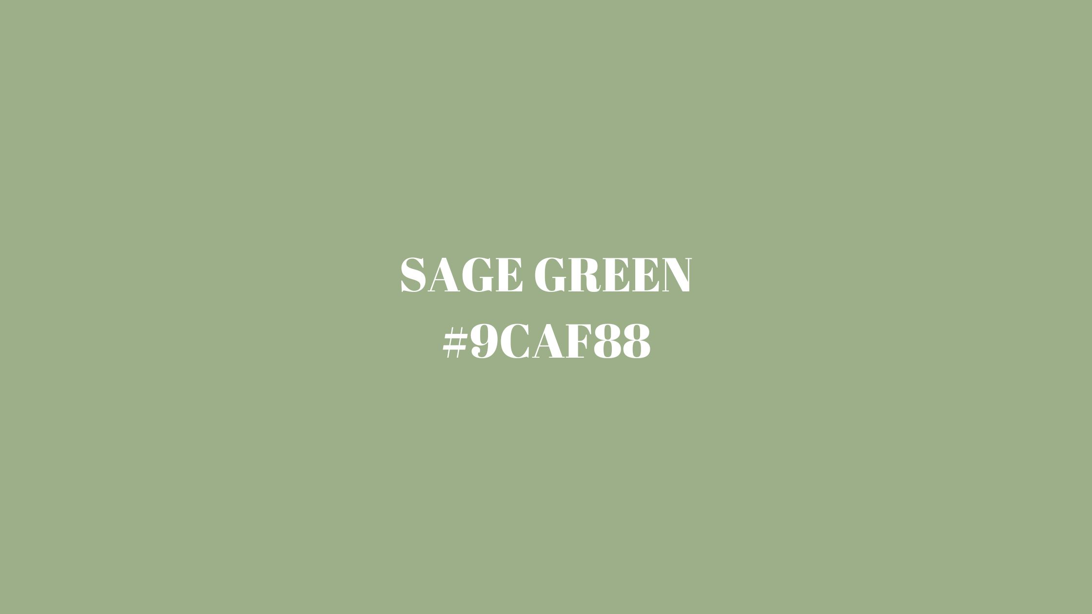Sage Green Color Details And Use In Design ImagineArt