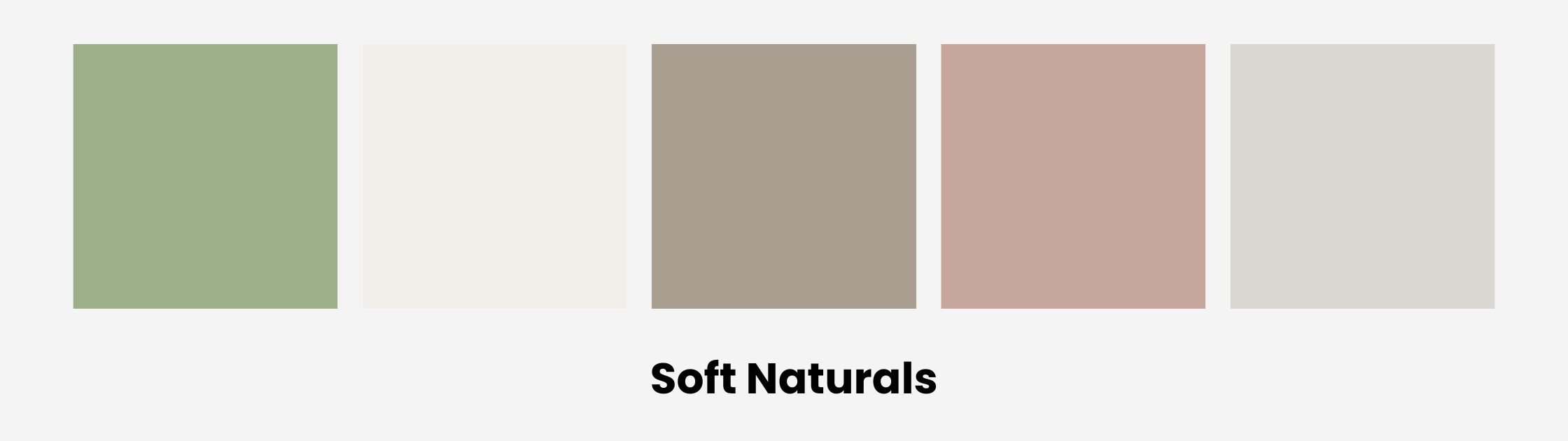 Sage Green Palette 1