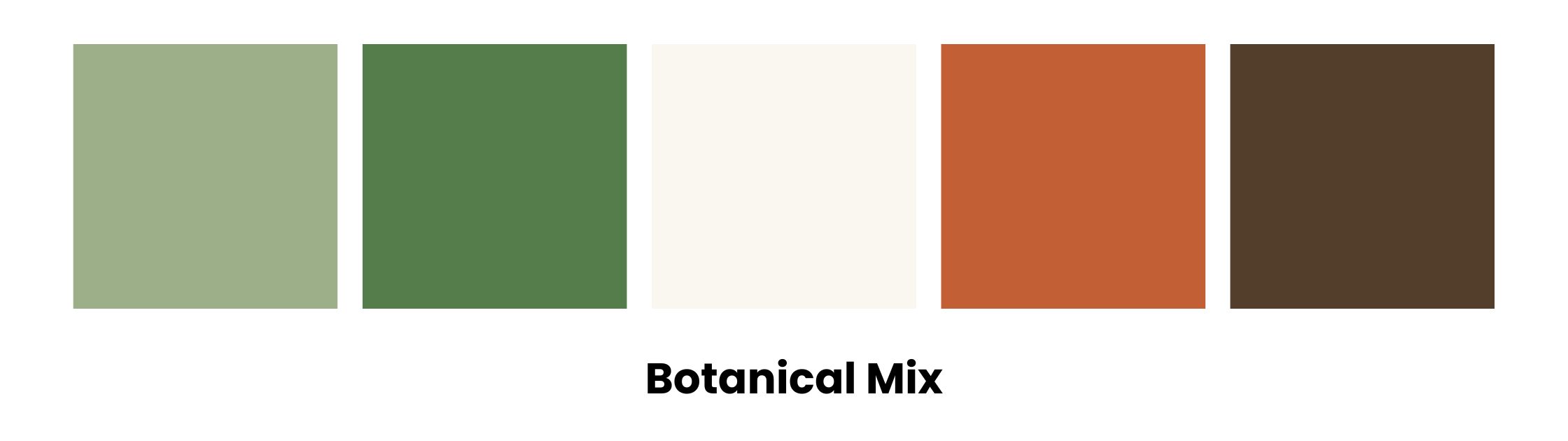 Sage Green Palette 5