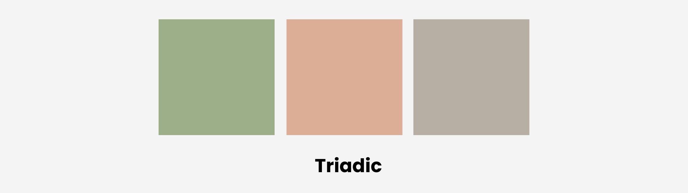 Sage Green Triadic Palette