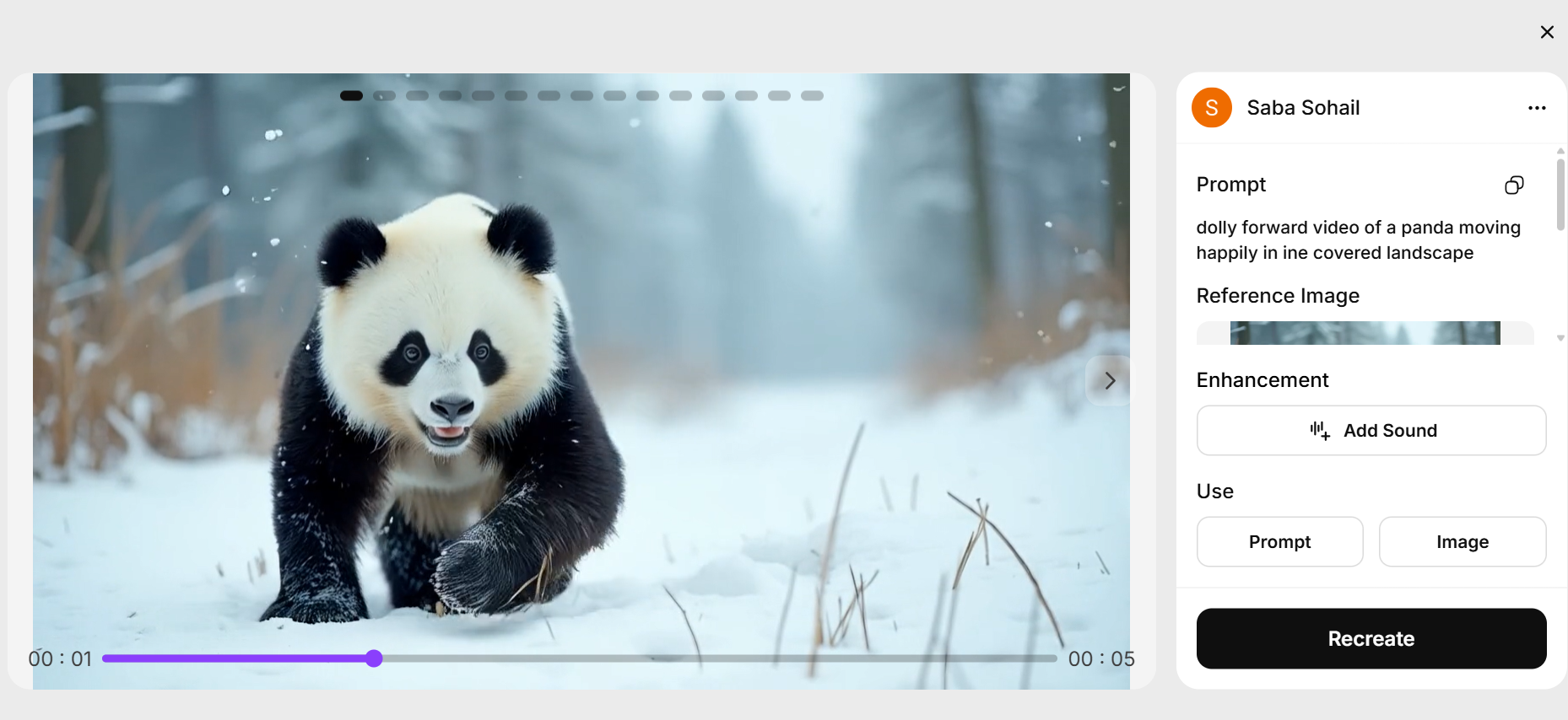 Hailuo AI Video Generator Features