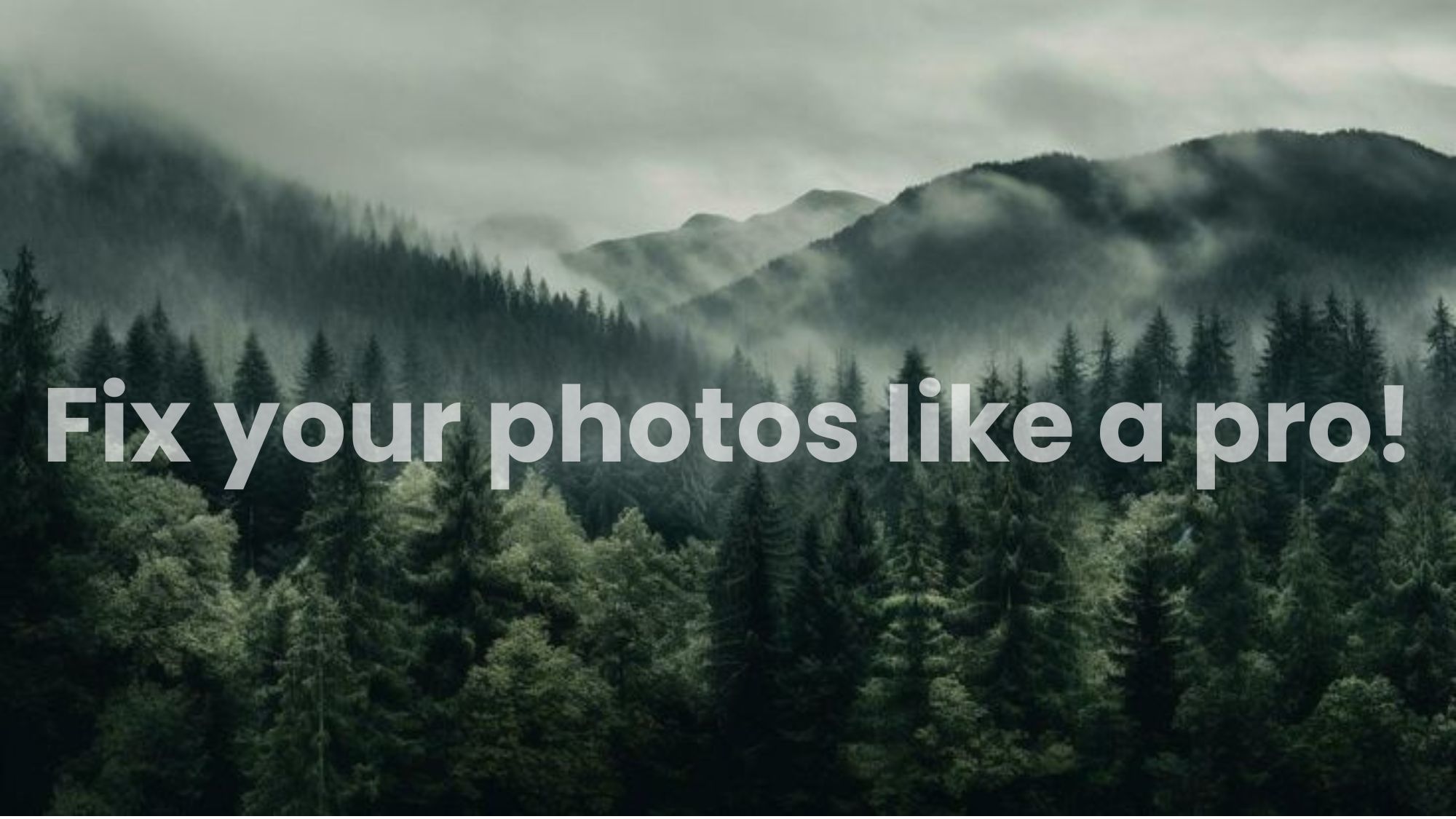 15 Photo Editing Basics That Won’t Make You Cry